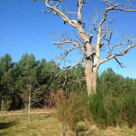 度假居 Charlot Lesperon (Landes)