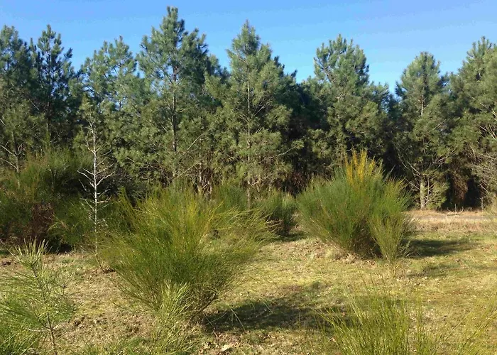 Σπίτι διακοπών Charlot *